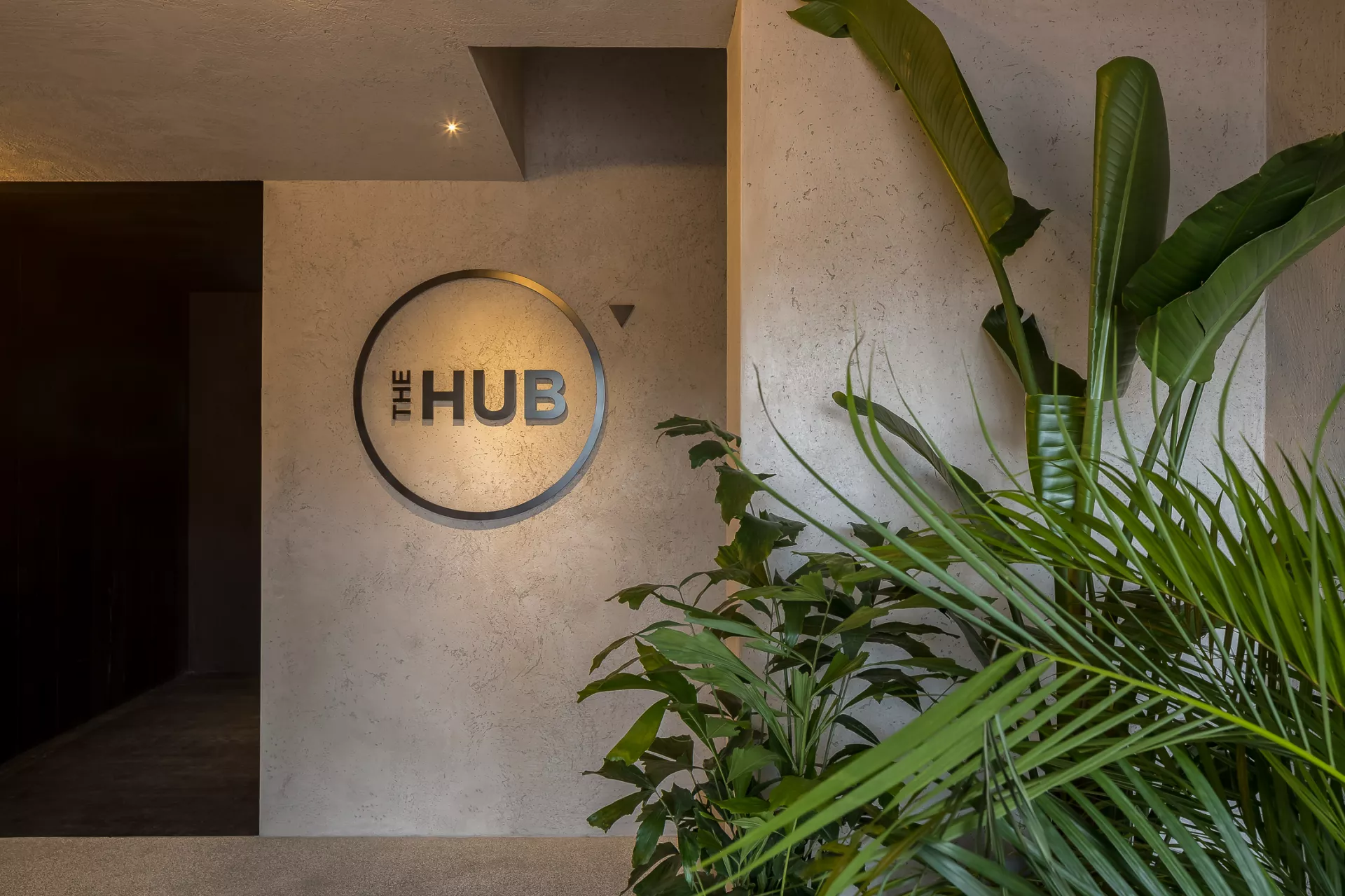 The hub